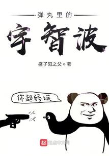 凤鸣苍穹：和亲女将