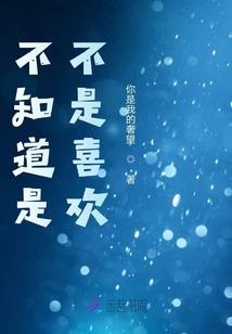 海贼王之辰逸专