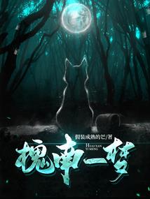 海贼王之海权世纪