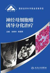 幻想乡的大妖怪