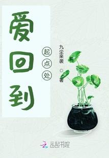 傻王的合约王妃