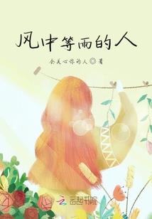 系统对系统
