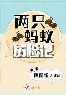 情乱迷界