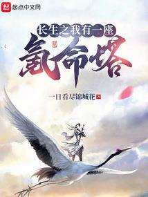 凰引迷梦