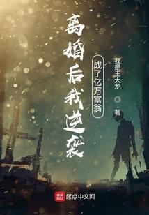 同治皇帝外传