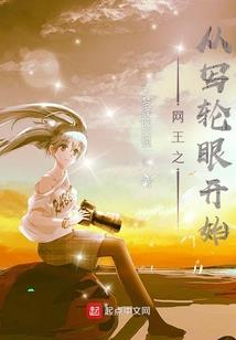 超级片儿警9527