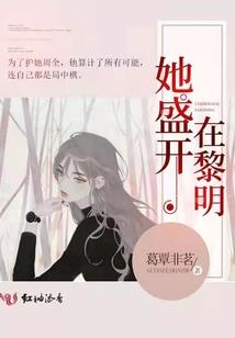 蝴蝶图