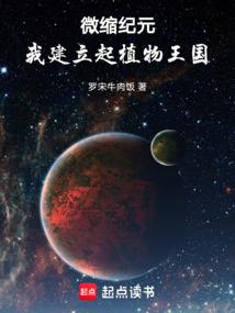明末乱闯王