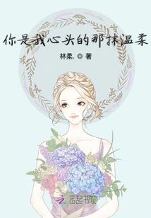维沃特的冒险日志