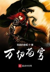 公子的强盗情人