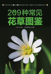 伤心小城