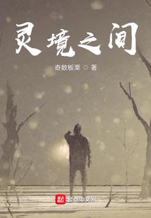 老向茶馆