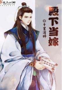 铠界之逆神枫皇