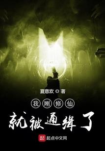 果人传奇