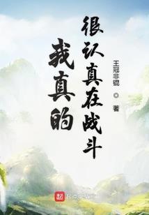 圣神界域