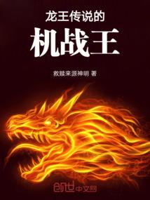 英雄大陆之遗失的梦