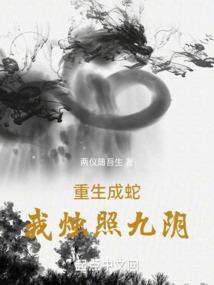 暗元素之救赎