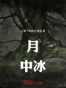 没有你十二夜半