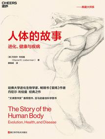 玄龙古棋之眠龙夺凤
