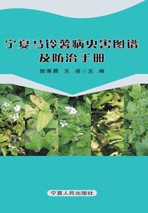 一个癔症者的梦中梦