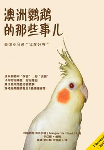 黑白棋子，灿若星辰