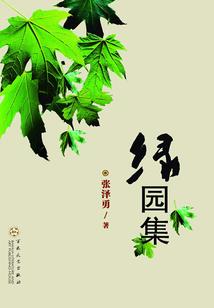 中灵界