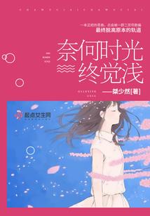 宠物小精灵之暗影