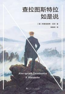 贼西游