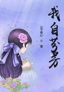 宠妃养成寻