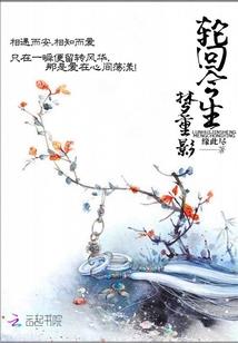 少林寺传奇之大漠英豪