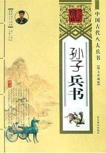 邪魅王爷的佣兵王妃