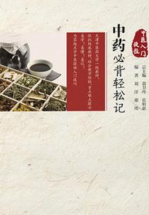 我真不是实干家