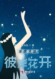 看仲夏之夜