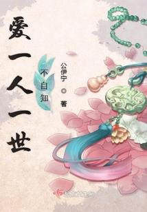 镜中花，两个世界