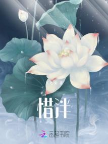 小木的三分之一生命