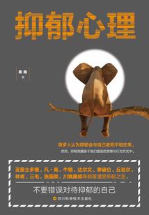 龙鳞凤羽传
