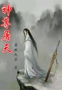夜辰传—影的世界