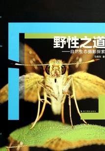 混星