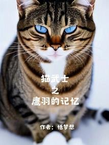 陆晨曦的英雄生涯