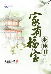 觅光行者