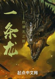乱辰记