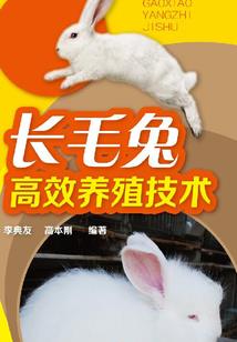 飞仙武神传