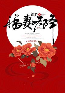 星辰主宰的旅途