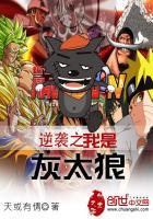 海贼王之全职大法师
