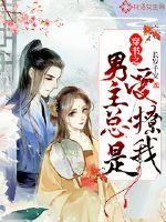 穿越宋代遇相公