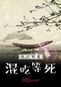青天传奇