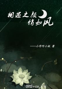 大明星崛起