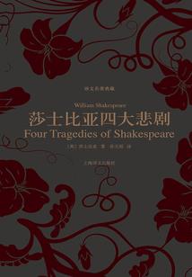 盗墓之将军陵墓之谜
