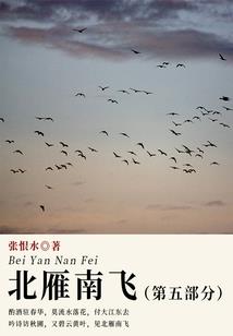 维摩劫