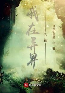 源恒破苍穹